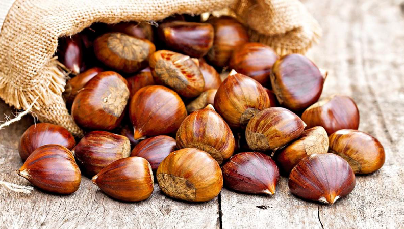 Divulgação Setorial – Castanha