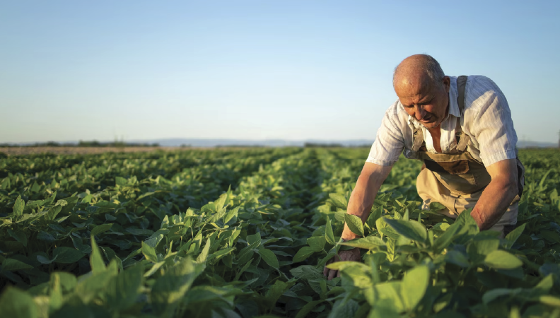 Garantia Mútua marca presença nas Feiras do Setor Agrícola